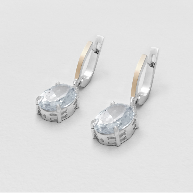 Earrings Luxury Evening