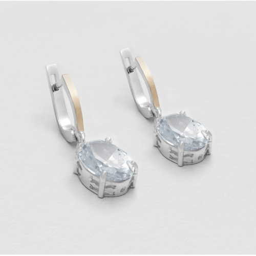 Earrings Luxury Evening