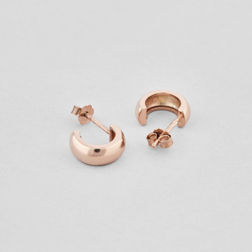 Earrings Brightness of gold