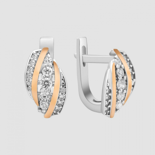 Earrings Extraordinary