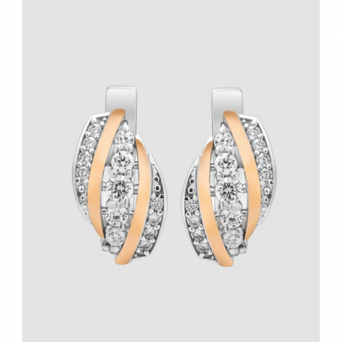 Earrings Extraordinary