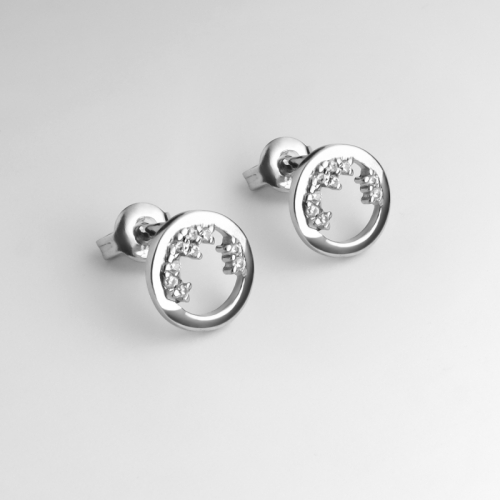 Earrings "Starry Night"